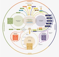 Sistema alimentario en un círculo