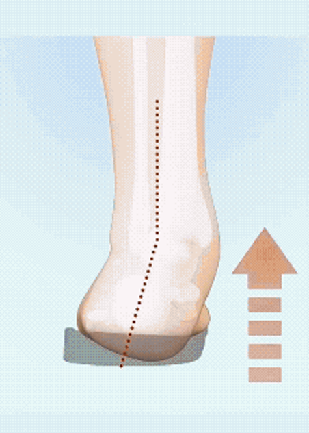 A 3D leg with a red dotted axis bent at the ankle