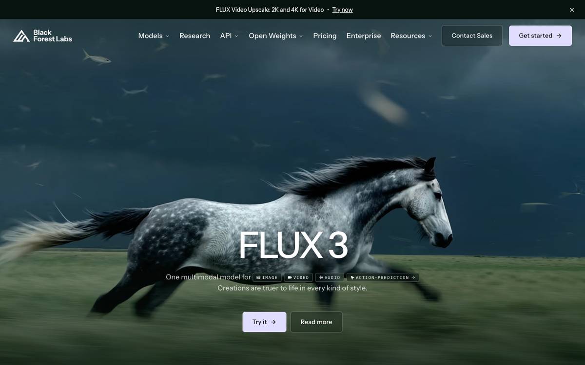 FLUX.2 hosted models